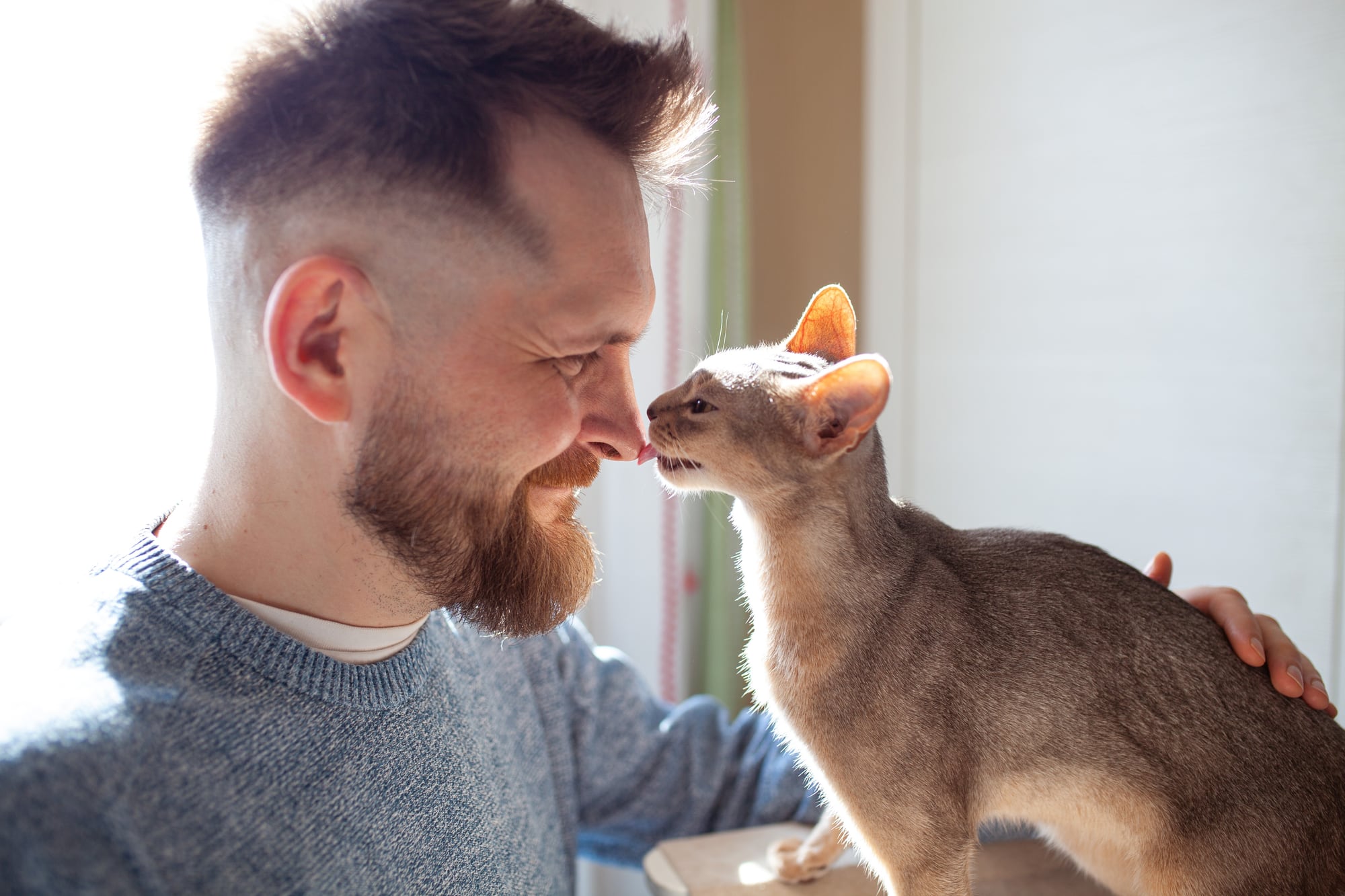 Cat owner sharing an affectionate moment with his cat